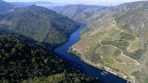 La Ribeira Sacra optará a la declaración de Patrimonio Mundial de la Unesco Viñedos en la Ribeira Sacra siguiendo el curso del Sil. EFE/Archivo La Ribeira Sacra optará a la declaración de Patrimonio Mundial de la Unesco La Ribeira Sacra optará a la declaración de Patrimonio Mundial de la Unesco Viñedos en la Ribeira Sacra siguiendo el curso del Sil. EFE/Archivo La Ribeira Sacra optará a la declaración de Patrimonio Mundial de la Unesco
