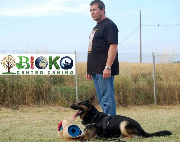 "Si tenemos que dejar a nuestro perro para salir de viaje hay que buscar un centro que nos dé garantías" "Si tenemos que dejar a nuestro perro para salir de viaje hay que buscar un centro que nos dé garantías"