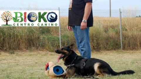 El Centro Cacanino Bioko cuenta con instalaciones al aire libre, servicio veterinario y atenci&oacute;n las 24 horas del d&iacute;a