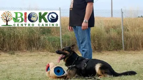 El Centro Cacanino Bioko cuenta con instalaciones al aire libre, servicio veterinario y atención las 24 horas del día El Centro Cacanino Bioko cuenta con instalaciones al aire libre, servicio veterinario y atención las 24 horas del día