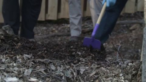 As&iacute; funciona la 'composta humana', el proceso que pretende usar a las personas fallecidas como 'abono' para plantar &aacute;rboles