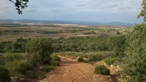El botellón se estaba celebrando en La Atalaya El botellón se estaba celebrando en La Atalaya