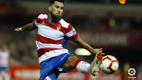 FEDE VICO FEDE VICO
