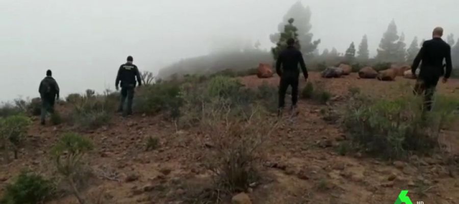 El hijo del detenido por la desaparición de su mujer y su otro hijo en Tenerife asegura que había mucha sangre cuando huyó El hijo del detenido por la desaparición de su mujer y su otro hijo en Tenerife asegura que había mucha sangre cuando huyó