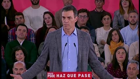 Pedro S&aacute;nchez: "Visto lo visto, el &uacute;nico proyecto cabal es el PSOE"