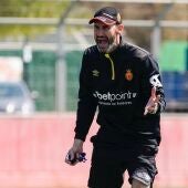 El entrenador del Real Mallorca, Vicente Moreno