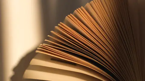 Imagen de archivo. Imagen de archivo.