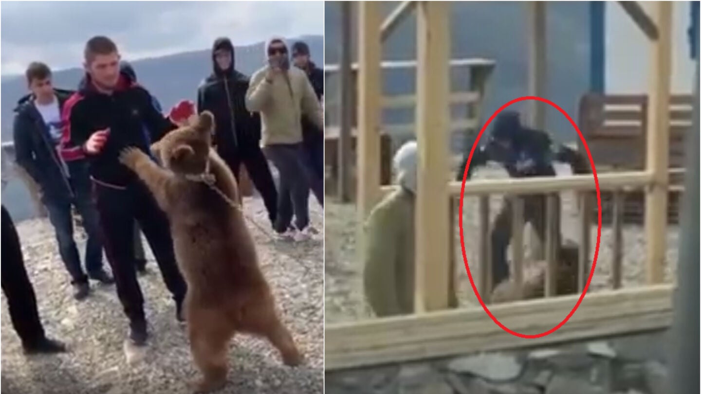 Las im&aacute;genes de Khabib y el oso