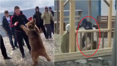 Las im&aacute;genes de Khabib y el oso