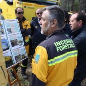 Algunos de los efectivos que trabajan en la campaña contra incendios forestales de Baleares