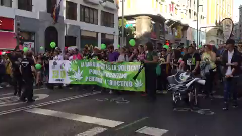 Cientos de personas piden en Madrid una regulación "integral y social" de la marihuana Cientos de personas piden en Madrid una regulación "integral y social" de la marihuana