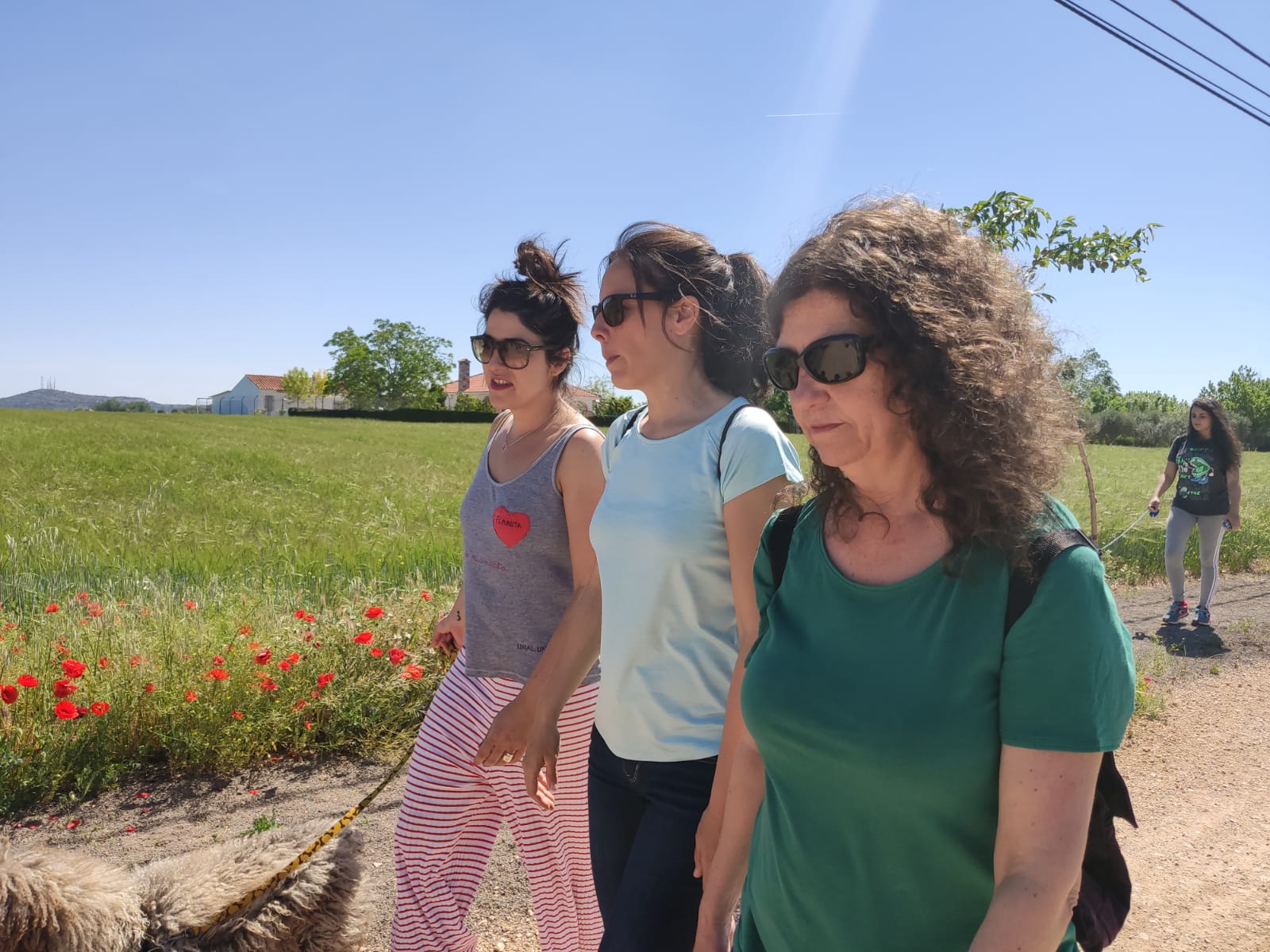 Unidas Podemos propone ubicar un santuario de animales en los terrenos donde se iba a construir un cementerio Unidas Podemos propone ubicar un santuario de animales en los terrenos donde se iba a construir un cementerio