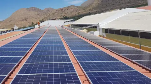 Sun Energy Renovables Sun Energy