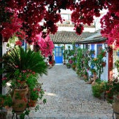 Patios cordobeses