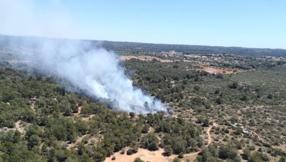 Incendio en Son Verí (Mallorca)