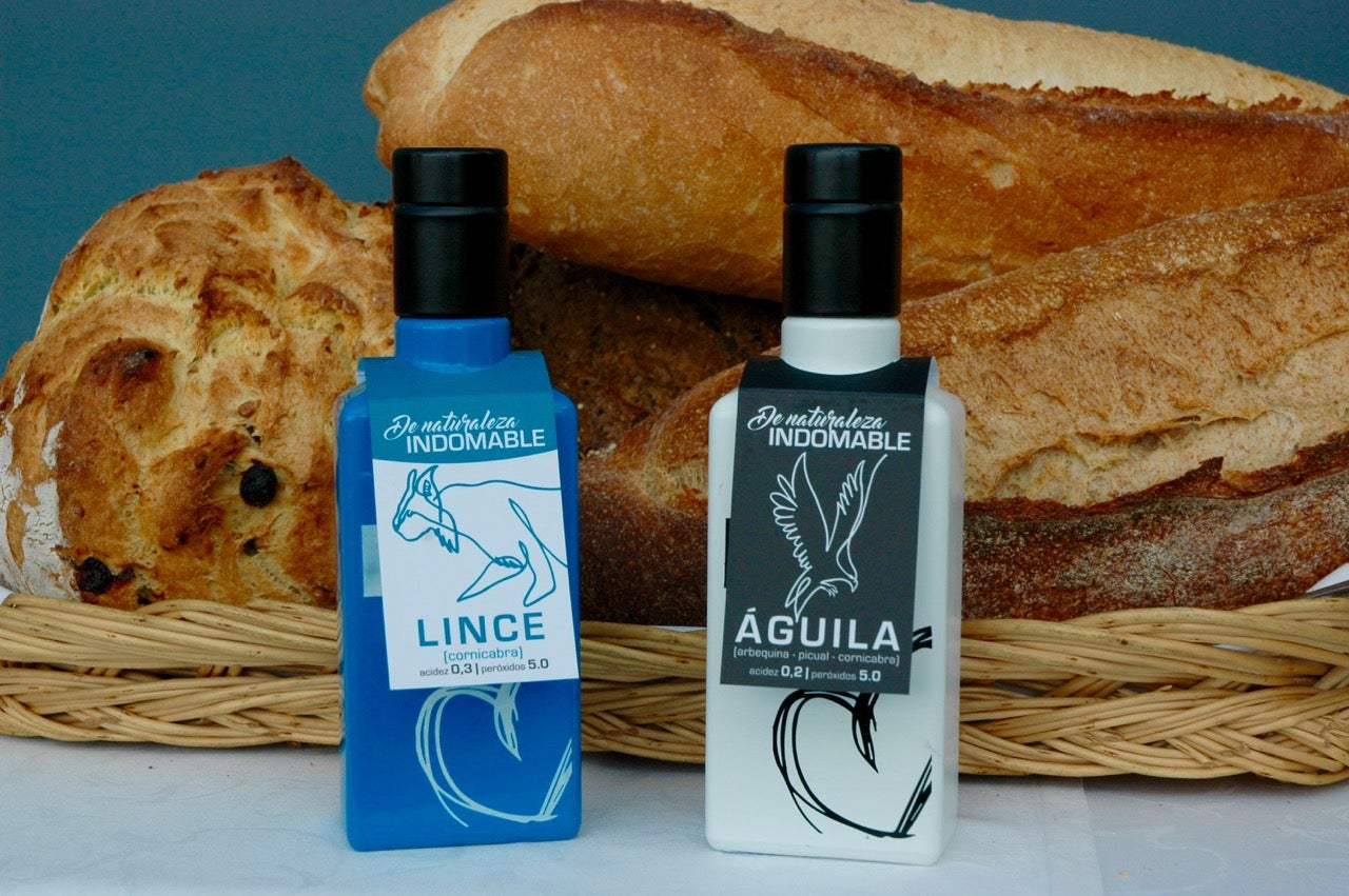 + Pasión con Montes Norte + Pasión con Montes Norte