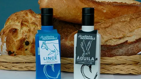 + Pasión con Montes Norte Aceites