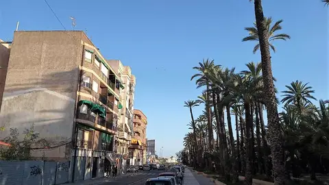 Elche. Elche.