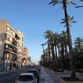 Elche. Elche.