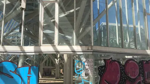 cuenca bosque de acero