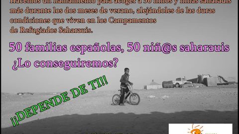 Amigos del S&aacute;hara