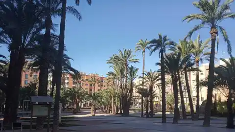 Parque en el centro de Elche. Parque en el centro de Elche.