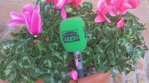 C&oacute;rdoba en la Onda. Noticias