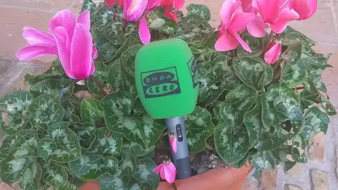 Córdoba en la Onda. Noticias Córdoba en la Onda. Noticias