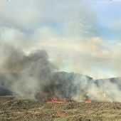 El viento y el acceso dificultan la extinción del fuego del Teide