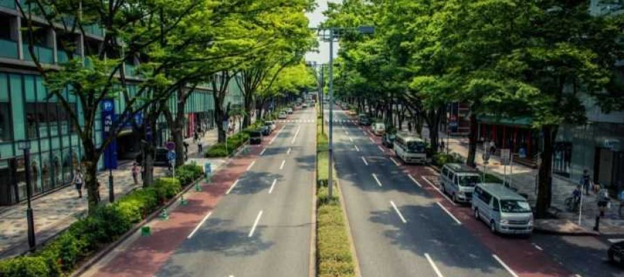 Simulación de la Avenida de La Libertad de Elche tras la reforma que plantea Contigo. Simulación de la Avenida de La Libertad de Elche tras la reforma que plantea Contigo.