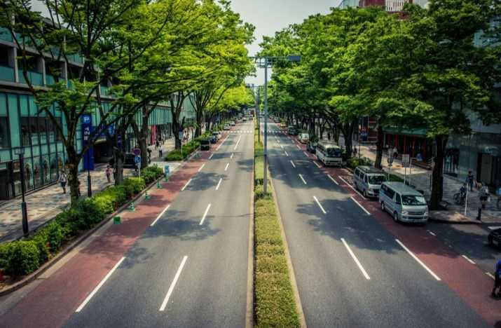 Contigo Elche plantea que los coches circulen por el centro de la actual Avenida de la Libertad Contigo Elche plantea que los coches circulen por el centro de la actual Avenida de la Libertad