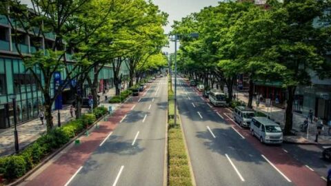 Simulaci&oacute;n de la Avenida de La Libertad de Elche tras la reforma que plantea Contigo.