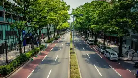 Simulación de la Avenida de La Libertad de Elche tras la reforma que plantea Contigo. Simulación de la Avenida de La Libertad de Elche tras la reforma que plantea Contigo.