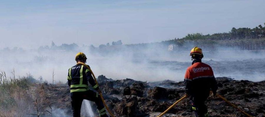 Bomberos en las labores de extinción del incendio en Elche. Bomberos en las labores de extinción del incendio en Elche.