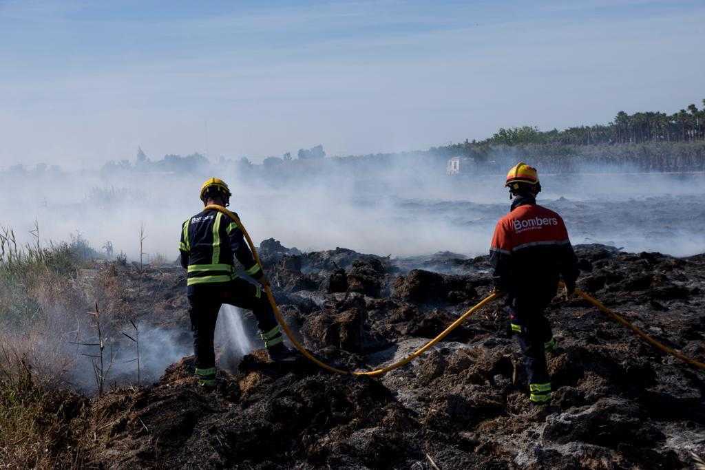El viento aviva los rescoldos de una quema controlada en Elche provocando un incendio que ha afectado a una hectárea El viento aviva los rescoldos de una quema controlada en Elche provocando un incendio que ha afectado a una hectárea