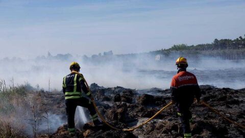 Bomberos en las labores de extinci&oacute;n del incendio en Elche. 