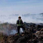 Bomberos en las labores de extinción del incendio en Elche. 