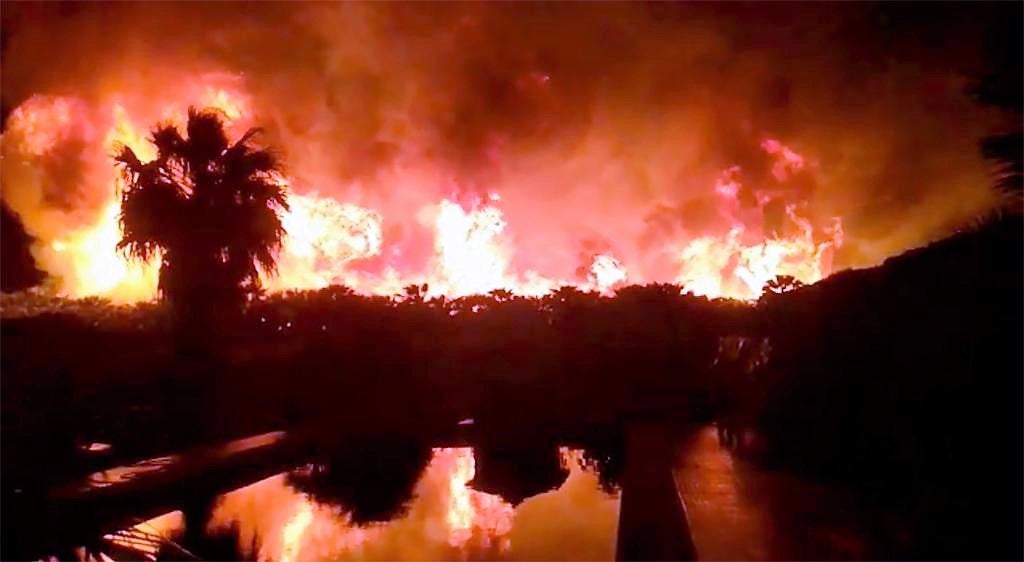 Un virulento incendio calcina en Elche una plantación de palmeras de una extensión equivalente a un campo de fútbol Un virulento incendio calcina en Elche una plantación de palmeras de una extensión equivalente a un campo de fútbol