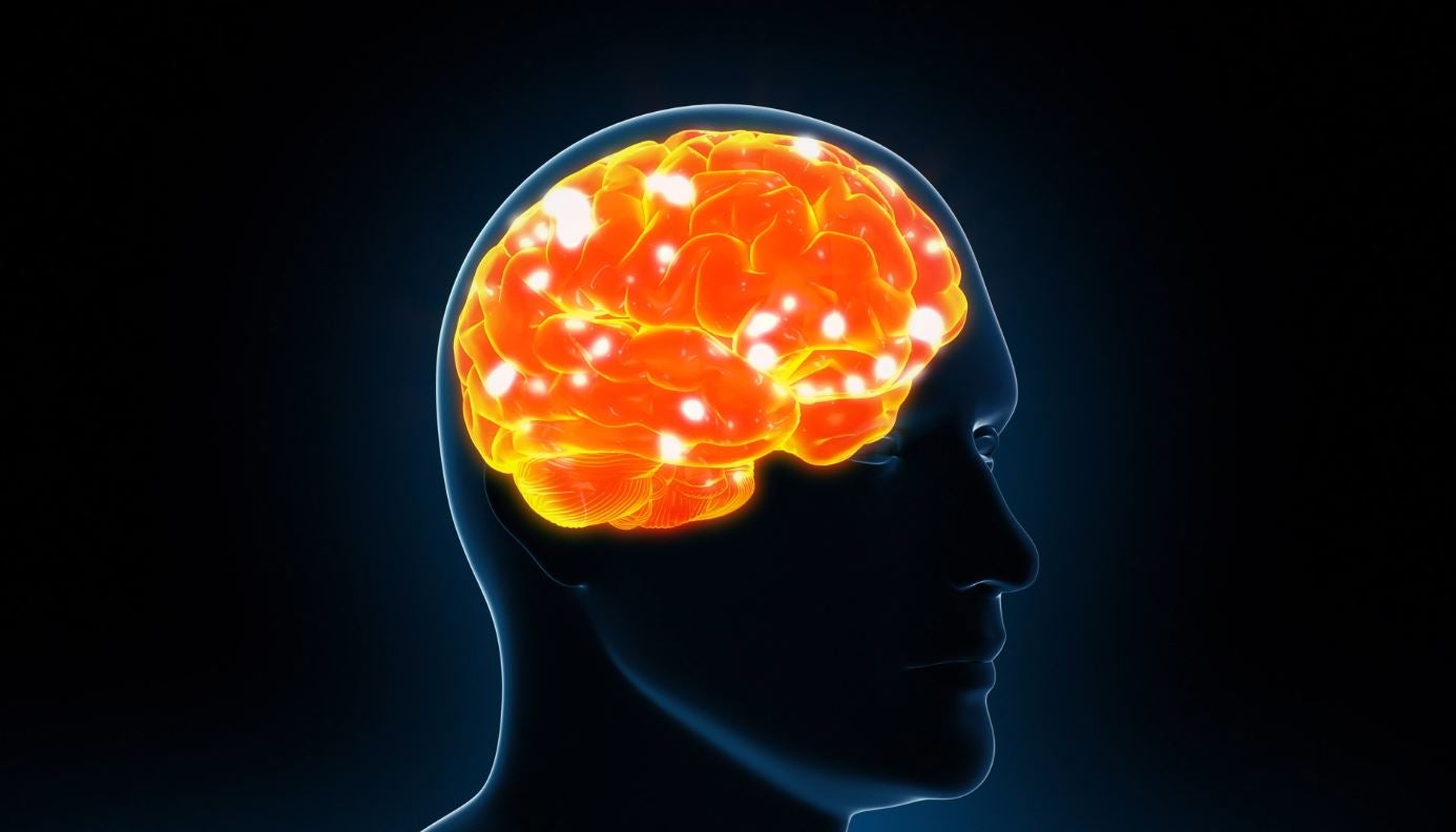 Xurxo Mariño: "Las personas bilingües tienen un retraso de 4 o 5 años en la aparición del Alzheimer" Xurxo Mariño: "Las personas bilingües tienen un retraso de 4 o 5 años en la aparición del Alzheimer"