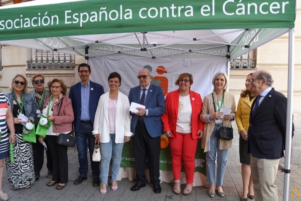 La AECC celebra su cuestación en Ciudad Real con más del 60% de los casos de cáncer superados La AECC celebra su cuestación en Ciudad Real con más del 60% de los casos de cáncer superados
