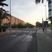 Elche. Elche.