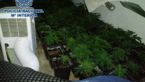Detenidos padre e hijo 