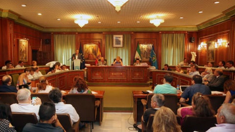 Pleno Marbella