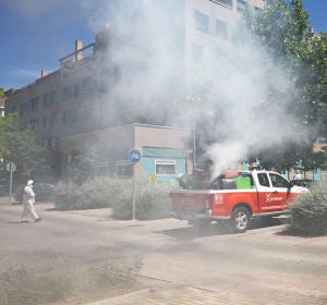 Fumigación en Torrejón de Ardoz Fumigación en Torrejón de Ardoz