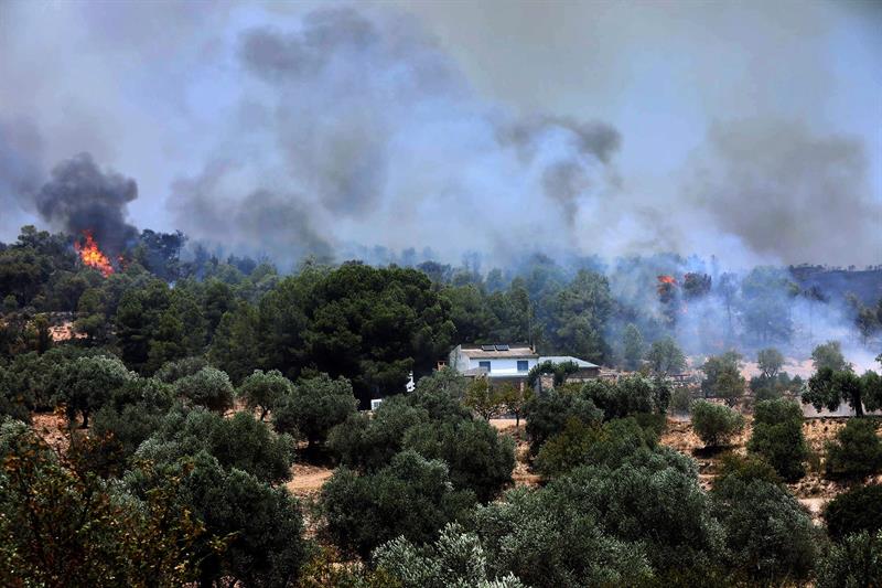 Operativo en el incendio de Tarragona: "El frente lo tenemos estabilizado, pero el fuego no está controlado" Operativo en el incendio de Tarragona: "El frente lo tenemos estabilizado, pero el fuego no está controlado"