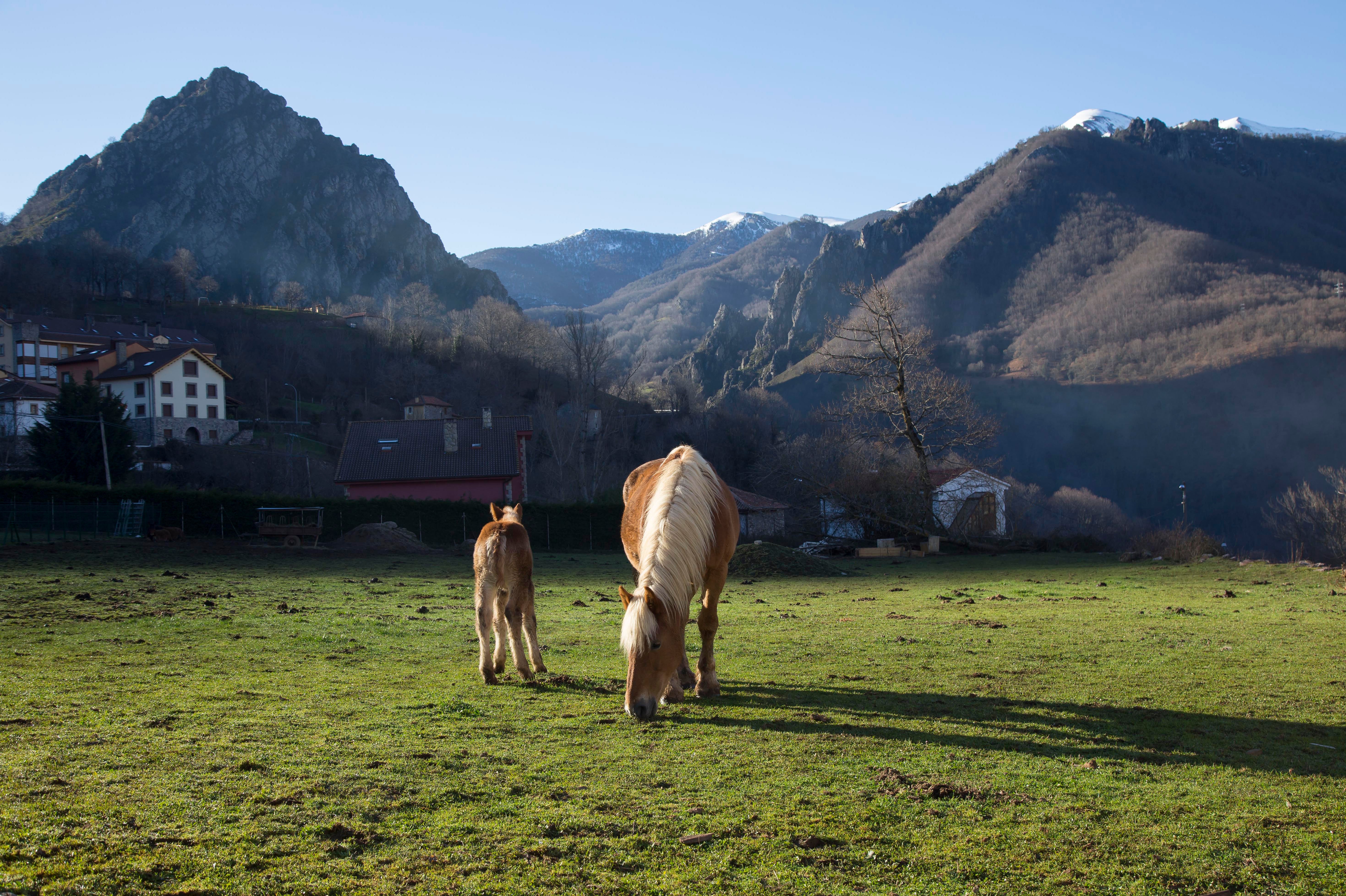 Paseo con chapuzón Paseo con chapuzón