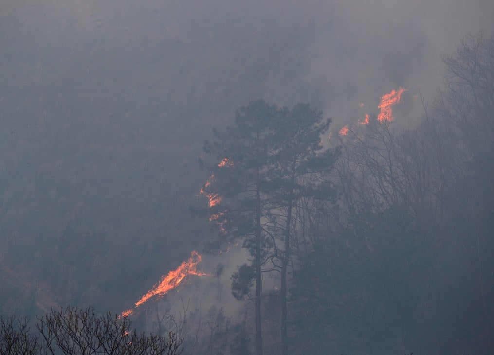 Confirman el "factor humano" en los dos incendios de Ávila y esperan que se estabilicen "en las próximas horas" Confirman el "factor humano" en los dos incendios de Ávila y esperan que se estabilicen "en las próximas horas"