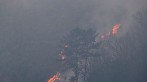 Imagen del incendio en Gavilanes, &Aacute;vila