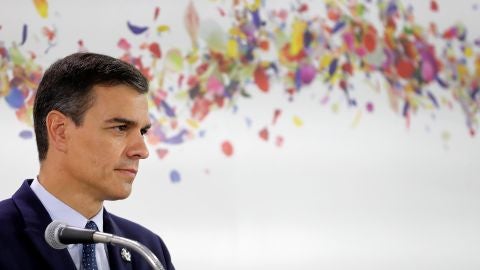 Pedro S&aacute;nchez