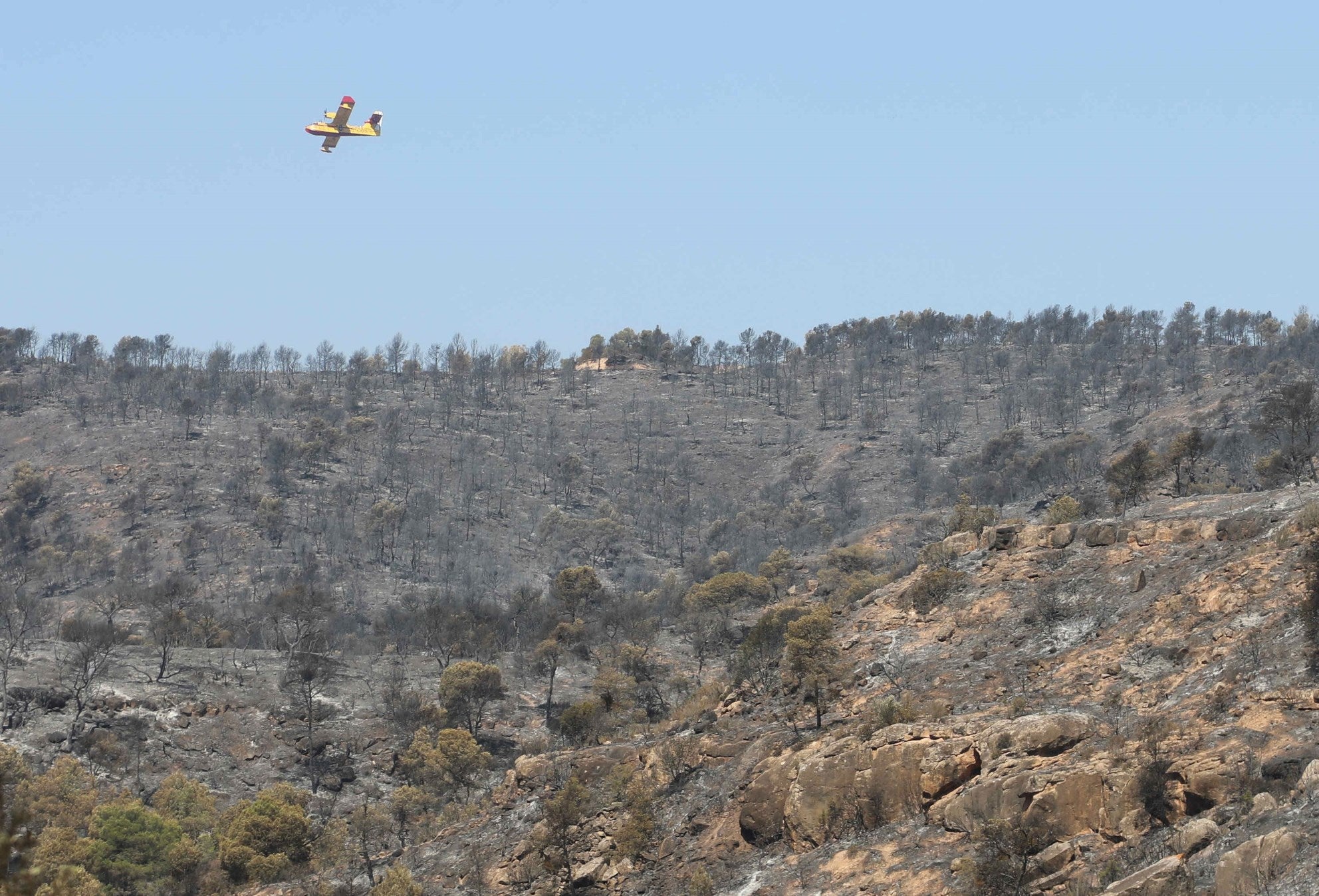 Los Bomberos trabajan para dar por controlado el fuego de La Ribera d'Ebre Los Bomberos trabajan para dar por controlado el fuego de La Ribera d'Ebre